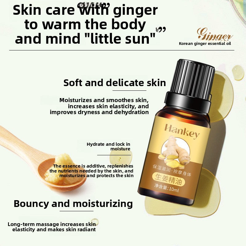 Rose Ginger Mugwort Massage Essential Oil for Gua Sha, Unblocking Meridians, Beauty Salon Special Essential Oil, Body Massage Oil