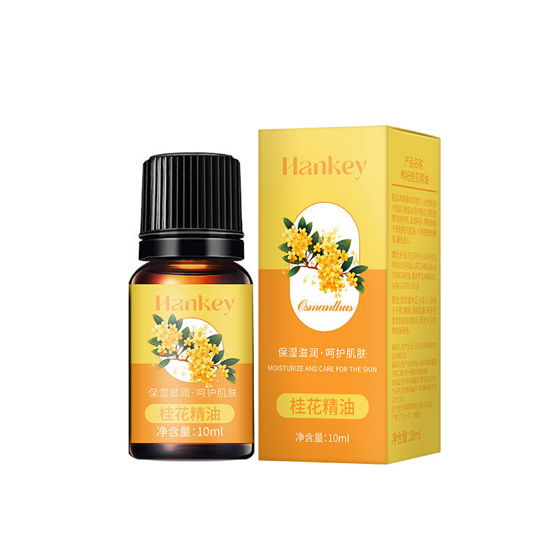 Rose Ginger Mugwort Massage Essential Oil for Gua Sha, Unblocking Meridians, Beauty Salon Special Essential Oil, Body Massage Oil