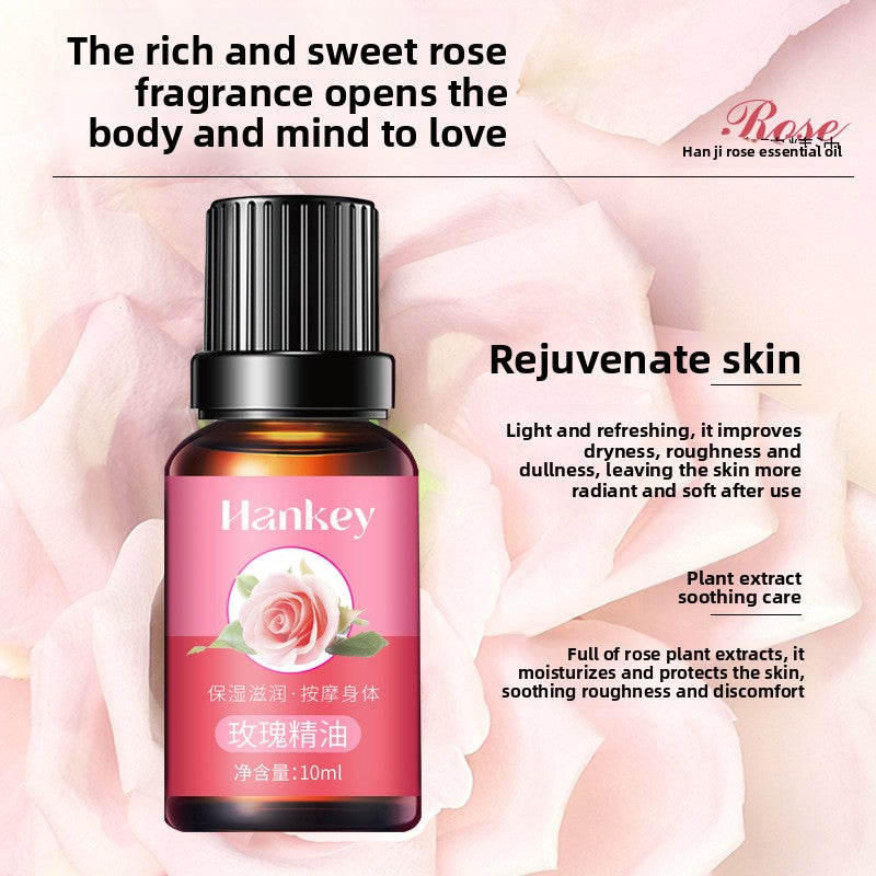Rose Ginger Mugwort Massage Essential Oil for Gua Sha, Unblocking Meridians, Beauty Salon Special Essential Oil, Body Massage Oil