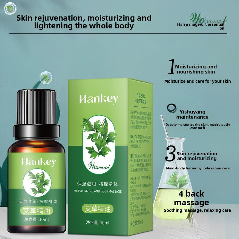 Rose Ginger Mugwort Massage Essential Oil for Gua Sha, Unblocking Meridians, Beauty Salon Special Essential Oil, Body Massage Oil